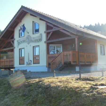 Chalet Du Bucheron Apartment Gerardmer Exterior photo
